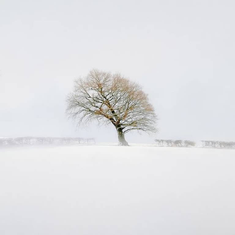 Победитель конкурса среди молодых фотографов-пейзажистов: «Дерево желаний» / © Aaron Northwood