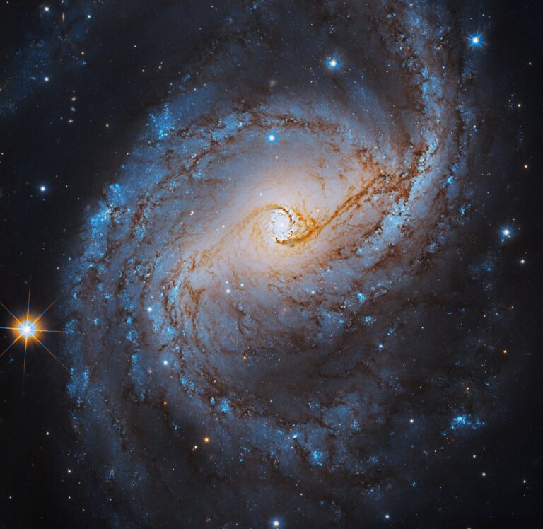 NGC 6951 / © NASA's Hubble Space Telescope, ESA, A. Filippenko (University of California — Berkeley), R. Foley (University of California — Santa Cruz), C. Kilpatrick (Northwestern University), and D. Sand (University of Arizona); Processing: Gladys Kober (NASA/Catholic University of America)