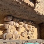 В Египте обнаружили кувшины с остатками вина, которым 5000 лет 