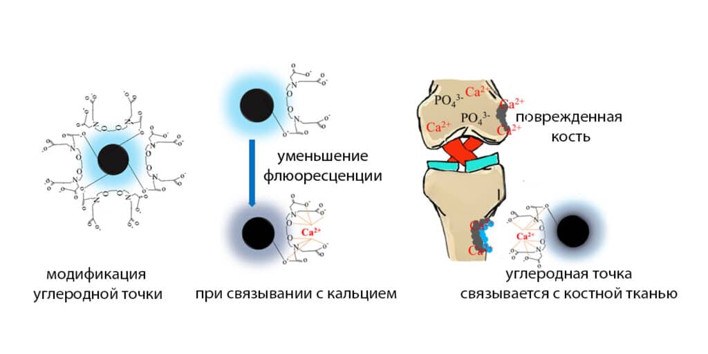 костная ткань