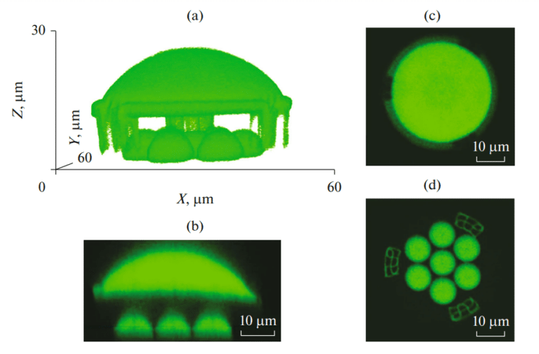 Полученные с помощью LSCM изображения: а — 3D-изображение одиночной асферической микролинзы, совмещенной с массивом микролинз; b — поперечное сечение изготовленной оптической системы; c — асферическая линза (верхняя часть изготовленной оптической системы) на высоте 12 мкм; d — планарное изображение массива микролинз на высоте 5,55 мкм, представляющее собой нижнюю часть изготовленной оптической системы / Physics of Wave Phenomena