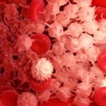 В ПНИПУ запатентовали рецепт мази против ожогов и ран с белком крови человека