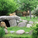 Прогулка по зоологическому саду Лейпцига