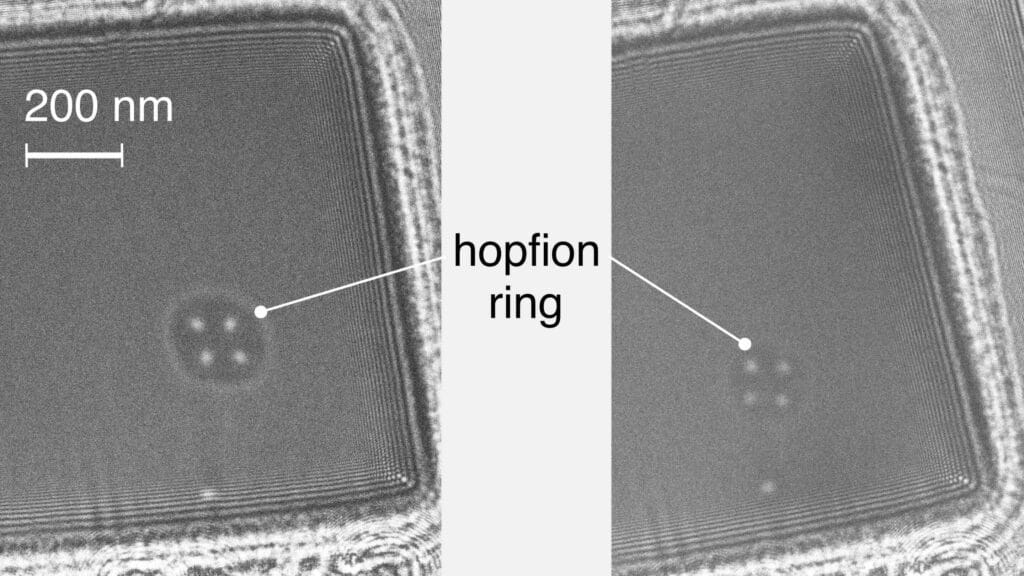 Микрофотография кольца хопфиона