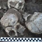 Археологи рассказали о массовой резне в неолитическом Китае