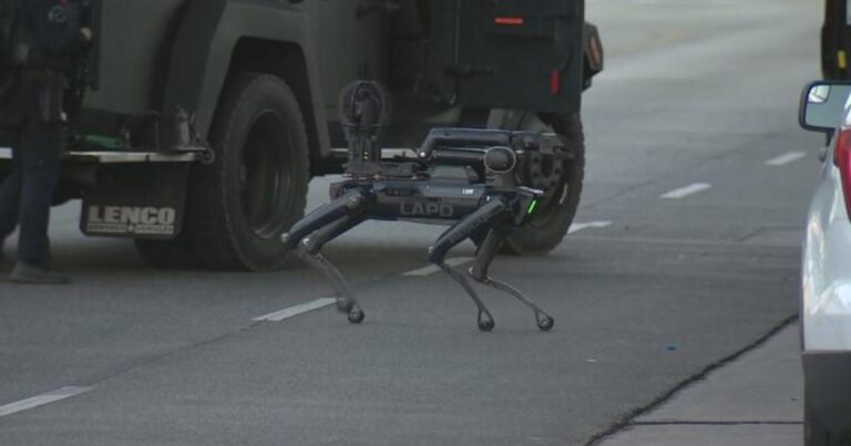 Собака-робот, которая служит в полиции Лос-Анджелеса / © WGN News 
