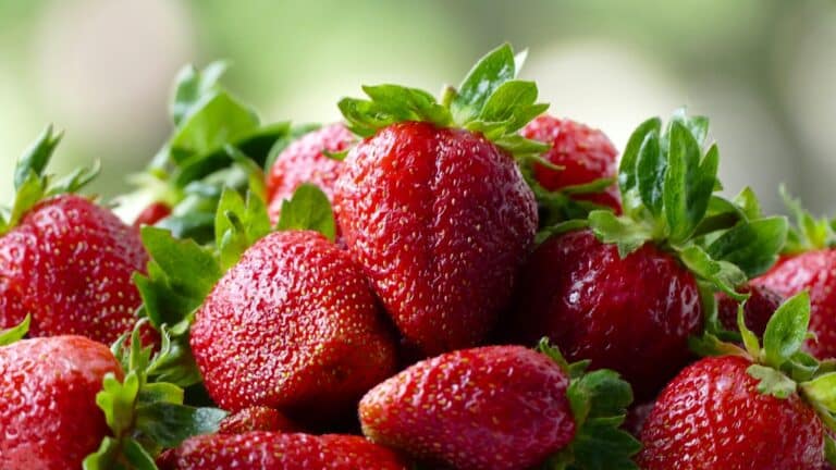 https://naked-science.ru/wp-content/uploads/2023/11/morangos-natural-foods-strawberry-strawberries-berry-fruit-1628636-pxhere.com_-768x432.jpg