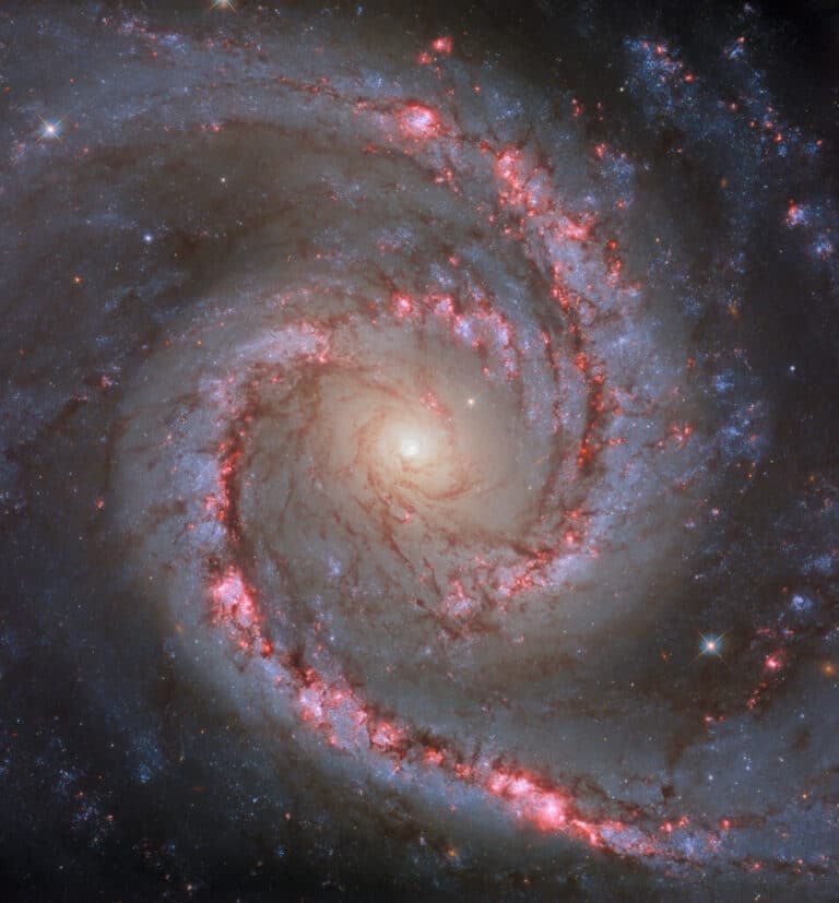Галактика NGC 1566 / © ESA / Hubble & NASA, D. Calzetti and the LEGUS team, R. Chandar