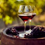 Ученые подошли к разгадке причин головной боли от красного вина