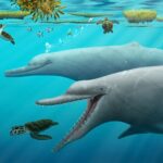 Палеонтологи нашли новое звено в эволюции «эхолокатора» у китов и дельфинов