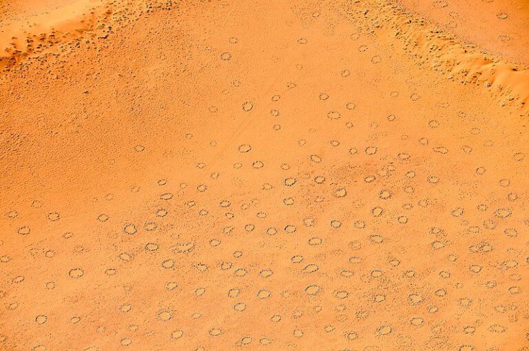 «Круги фей» в Намибии / © Wikimedia Commons