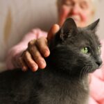 Домашние животные поддержали память и речь одиноких пожилых людей