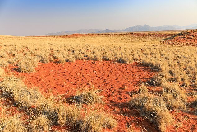 «Круги фей» в Намибии / © Wikimedia Commons