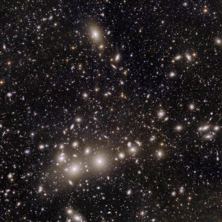 Скопление галактик в созвездии Персей в объективе телескопа «Евклид»  / © ESA 