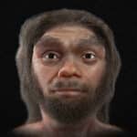 Воссоздано лицо «человека-дракона», который жил более 140 тысяч лет назад