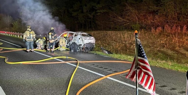 Пожарные тушат электромобиль Tesla / © WSFA 12 News
