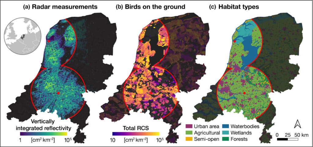 Оценка воздействия фейерверков на птиц на основе данных радаров, сведений о численности и размещении птиц / © Bart Hoekstra et al.