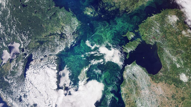 Российские ученые раскрыли причину изменчивости океанических течений на глубине более четырех тысяч метров