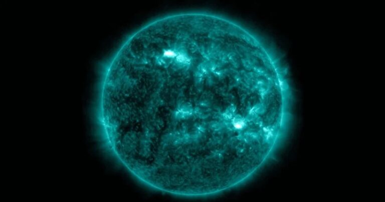 Появление солнечных пятен AR3559 и AR3561 / ©  NASA / SDO