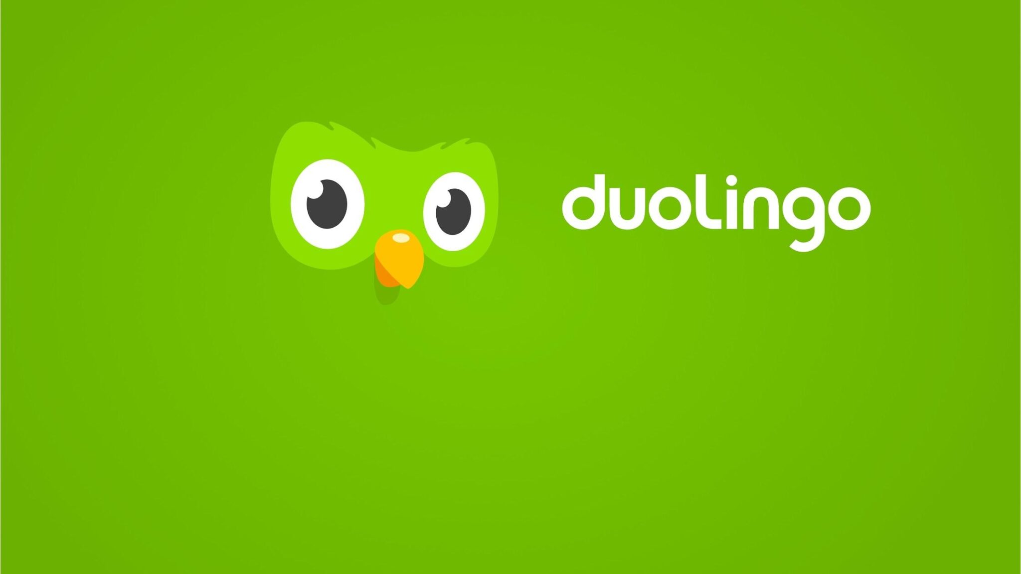 Duolingo learn. Duolingo. Значок Дуолинго. Совенок Дуолинго. Duolingo картинки.