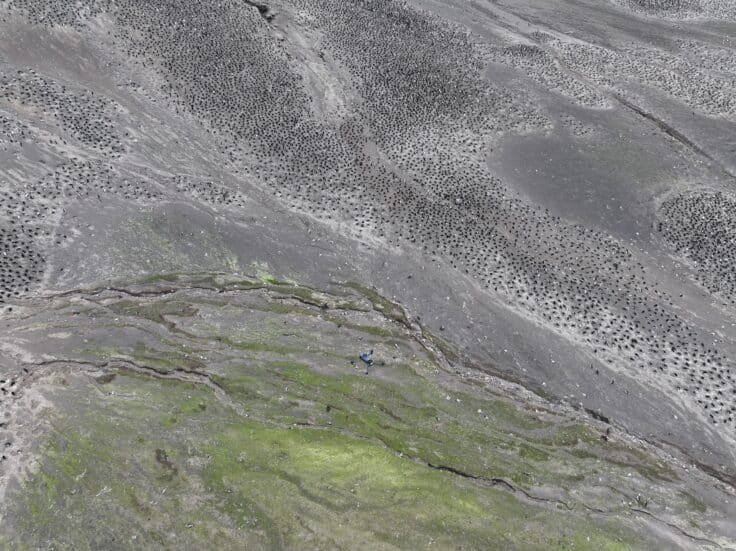 Аэрофотосъемка самой большой колонии пингвинов в мире / © BAS