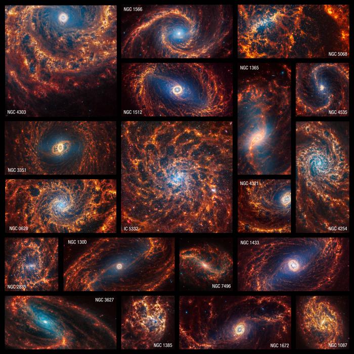 Коллаж из 19 изображений спиральных галактик / © NASA, ESA, CSA, STScI, Janice Lee (STScI), Thomas Williams (Oxford), PHANGS Team)