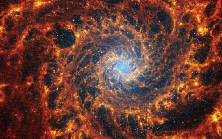 NGC 628 / © NASA, ESA, CSA, STScI, Janice Lee (STScI), Thomas Williams (Oxford), PHANGS Team)