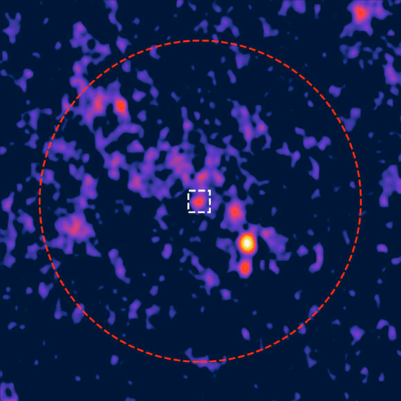 Открытый радиосигнал (белый квадрат) в центре 47 Тукана / © Paduano et al., doi: 10.3847/1538-4357/ad0e68.
