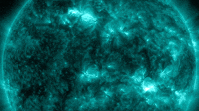 Появление солнечных пятен AR3559 и AR3561 / ©  NASA / SDO