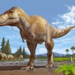 Палеонтологи открыли ближайшего родственника Tyrannosaurus rex