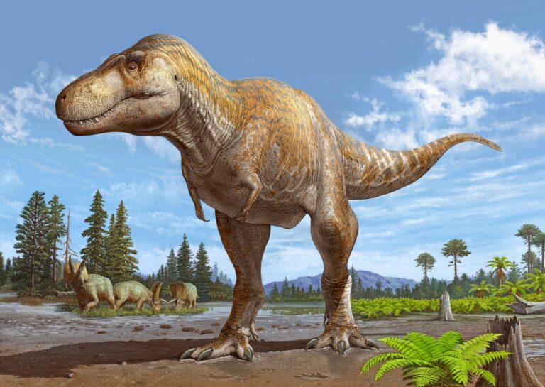тираннозавр