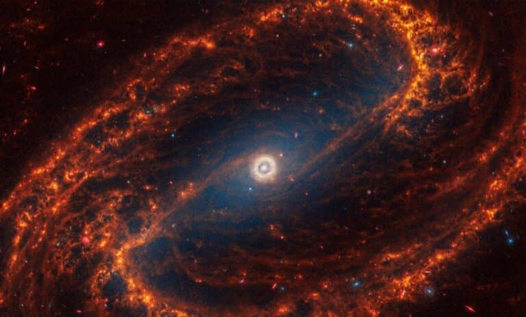 Спиральная галактика с перемычкой NGC 1300 / © NASA, ESA, CSA, STScI, Janice Lee (STScI), Thomas Williams (Oxford), PHANGS Team)