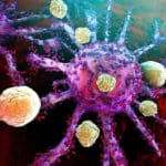 В НИЯУ МИФИ нашли метод оценки активации иммунных клеток