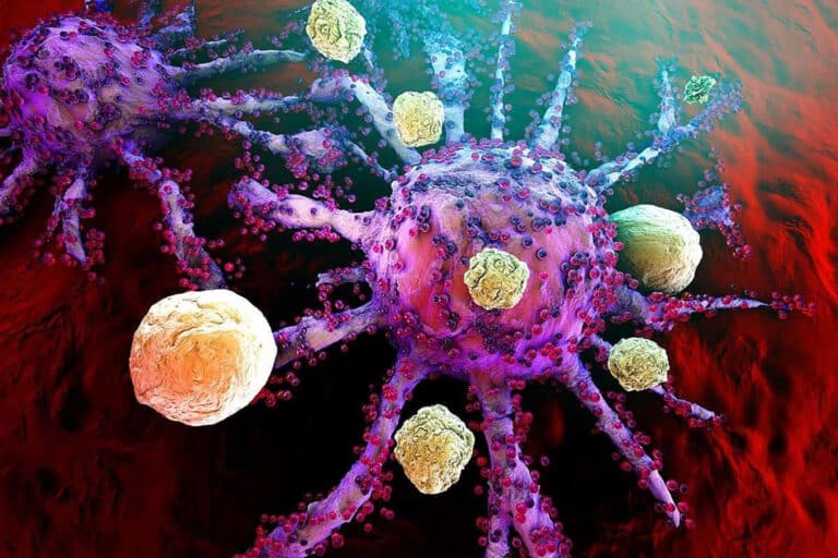 В НИЯУ МИФИ нашли метод оценки активации иммунных клеток