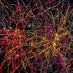В НИУ ВШЭ улучшили модель диффузионной нейросети