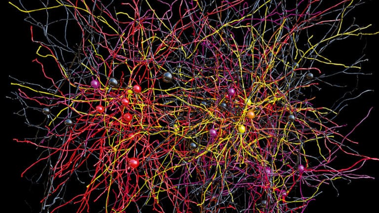 Российские ученые улучшили модель диффузионной нейросети