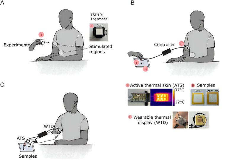 Датчик / © Advanced Intelligent Systems (2024). DOI: 10.1002/aisy.202300512  