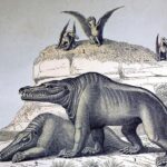 Десятки видов динозавров призвали переименовать из-за оскорбительных, сексистcких и расистских названий