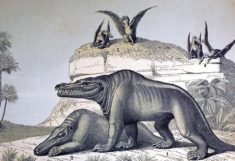 

Иллюстрация мегалозавра 1862 года  / © Paul D. Stewart / SPL