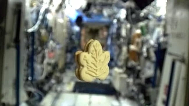 Печенье с кремом в форме кленового листа на Международной космической станции / © Chris Hadfield / CSA