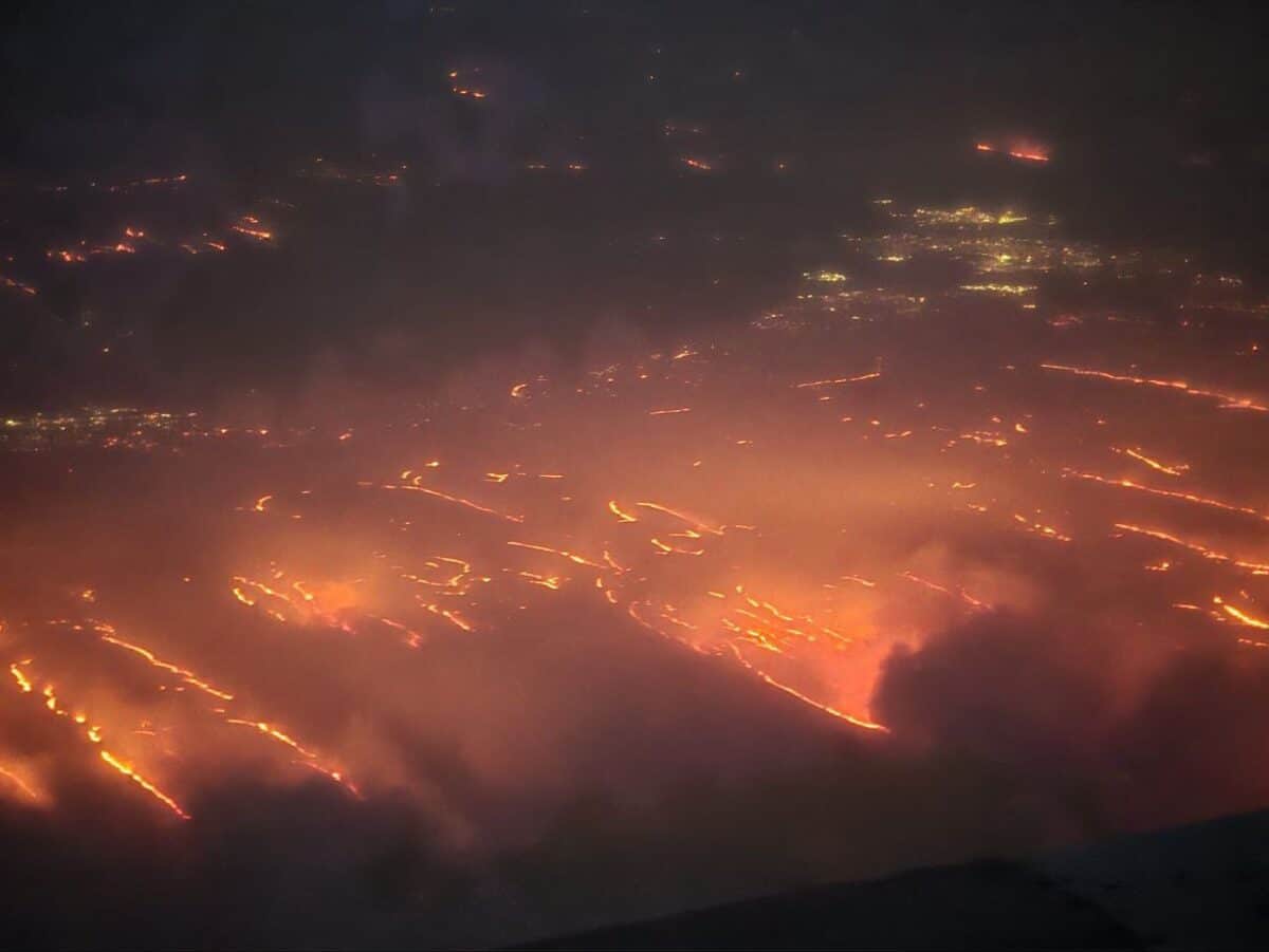 Лесные пожары в Техасе / © WorldNewsGb