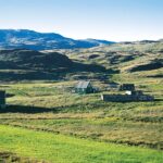 Рекордное озеленение: за 30 лет площадь растительности в Гренландии удвоилась