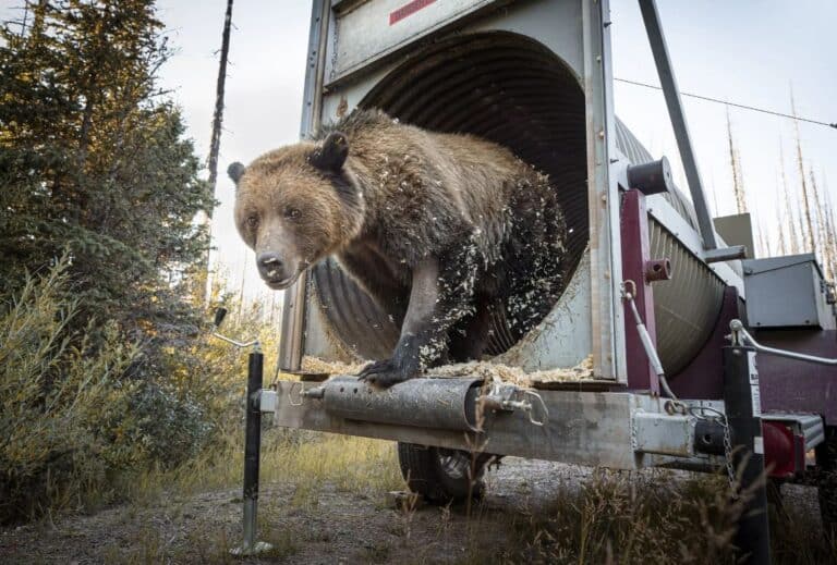 Снимок одного из финалистов / © Rob Green