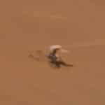 Марсоход показал, как выглядит поврежденный дрон-вертолет Ingenuity