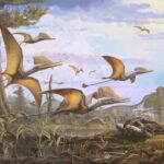 Палеонтологи открыли новый вид птерозавров юрского периода
