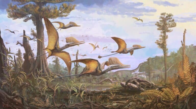 птерозавры