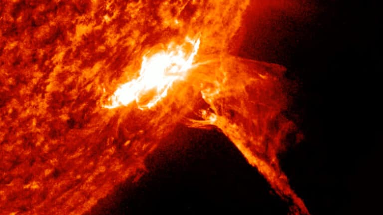 Солнечная вспышка М-класса, 5 февраля 2024 года / © NASA / SDO