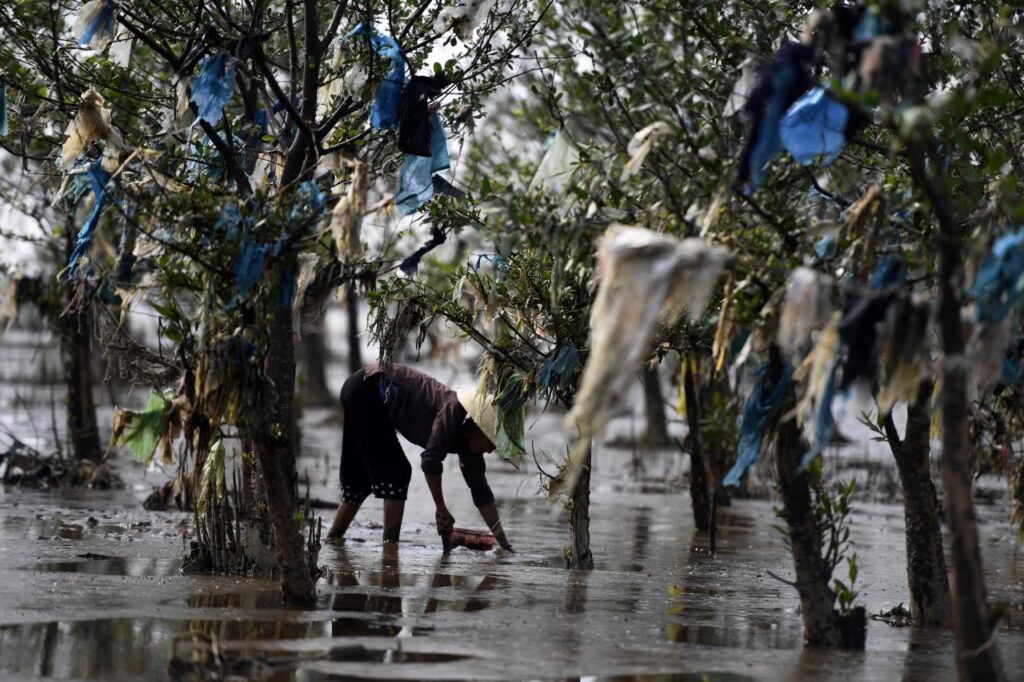 Усеянное пластиком мангровое болото во Вьетнаме, 2018 год / © Няк Нгуен, AFP, Getty Images
