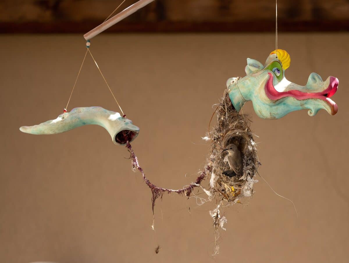 Первое место в категории «Городская дикая природа», гнездо, построенное птицами в старой игрушке / © Roy Wiesner