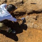 Археологи нашли римские стены Нарбонны